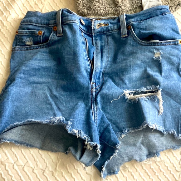 levi - Picture 1 of 1